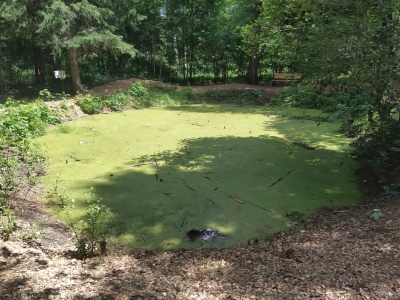 Парк Гайдар - 31.jpg